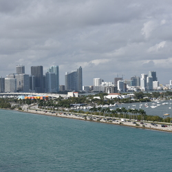 Cruises